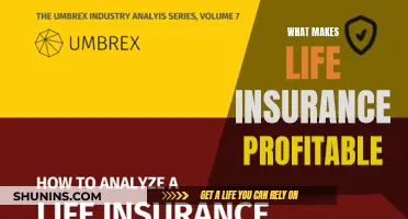 Unveiling the Secrets: Why Life Insurance is Profitable