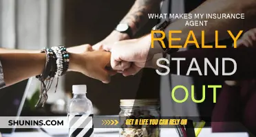 Why My Insurance Agent is Outstanding