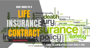 Understanding the Core Components of a Life Insurance Contract