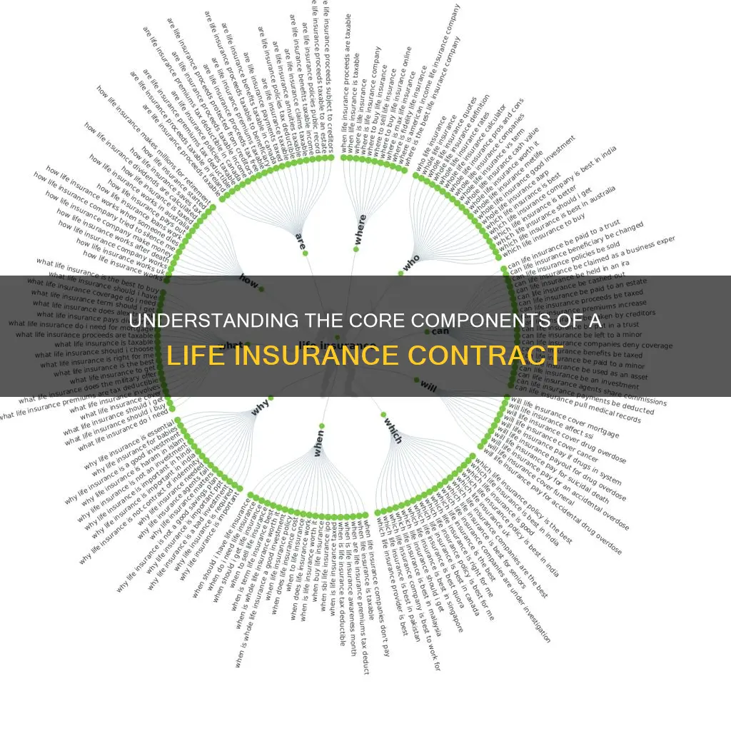 what makes up a life insurance contract