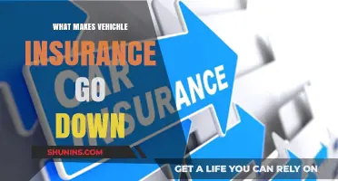 How to Lower Your Vehicle Insurance Costs