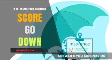 Understanding Factors That Lower Insurance Scores