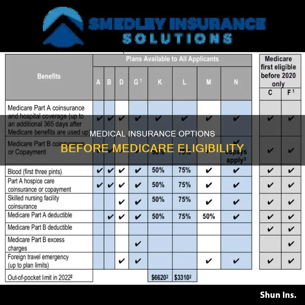what medical insurance can I get before medicare