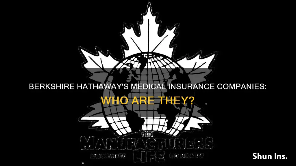 what medical insurance companies are in the berkshire hathaway own