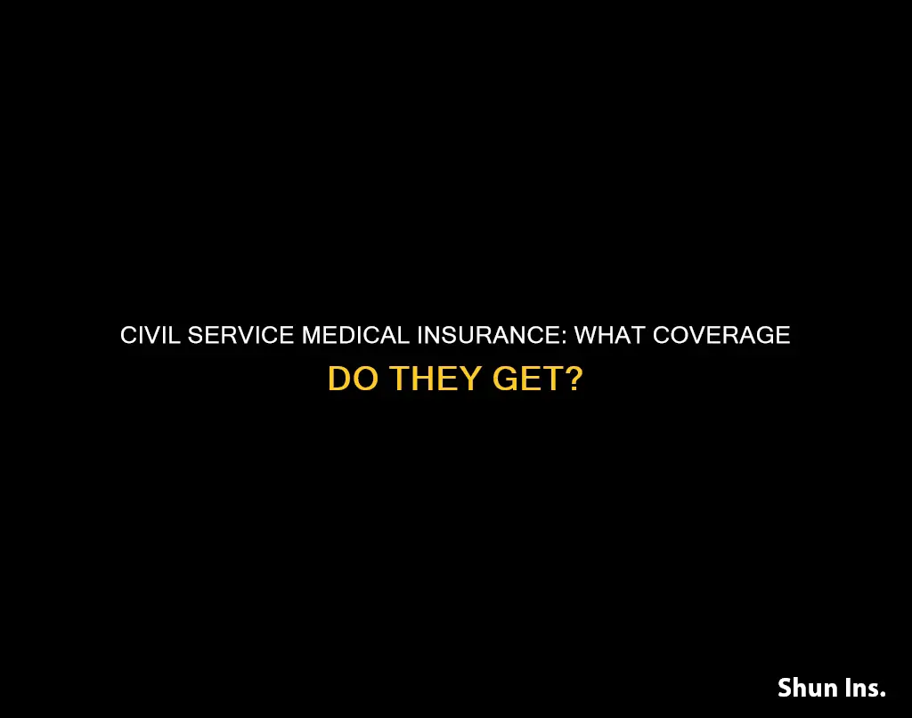 what medical insurance does civil service people have