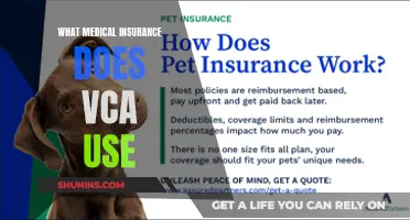 VCA Pet Insurance: What You Need to Know