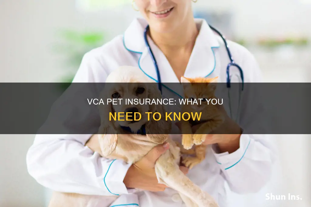 what medical insurance does vca use