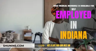Self-Employed in Indiana? Explore Medical Insurance Options