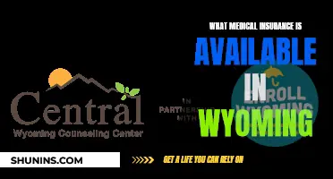 Medical Insurance Options in Wyoming: What You Need to Know