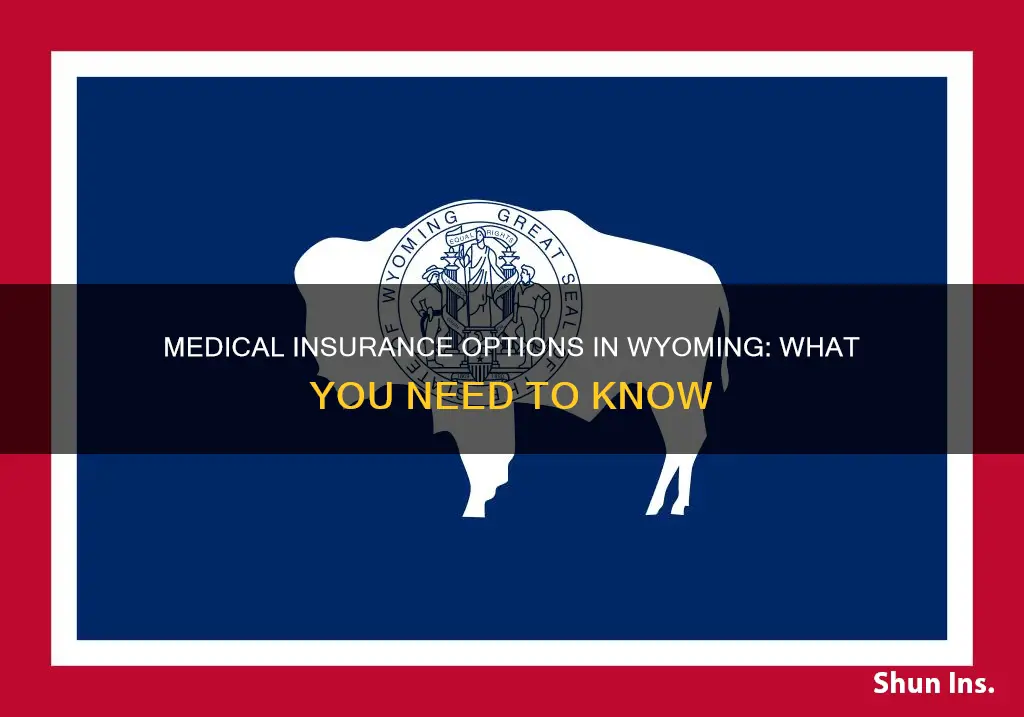 what medical insurance is available in wyoming