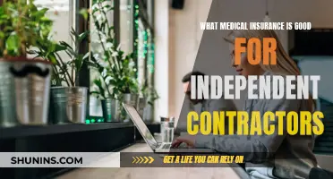Best Medical Insurance Options for Independent Contractors