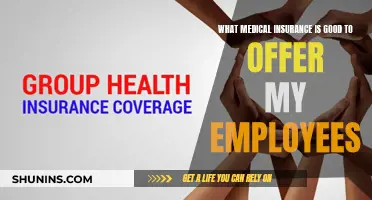 Best Medical Insurance for Your Employees: Comprehensive Guide
