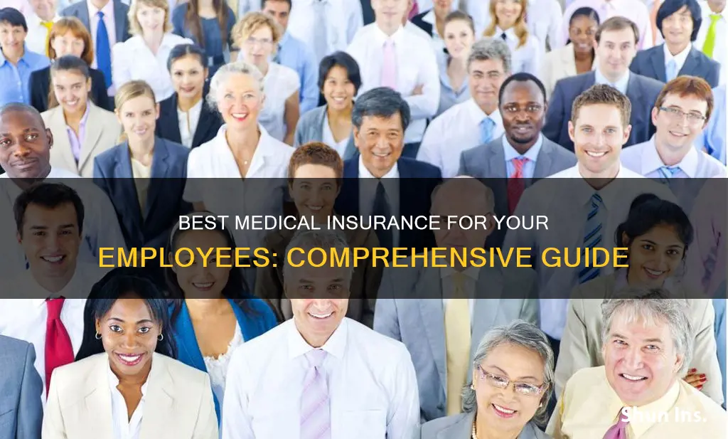 what medical insurance is good to offer my employees