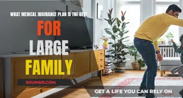 Best Medical Insurance Plans for Large Families