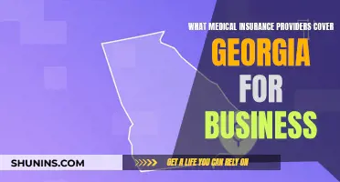 Business Medical Insurance: Georgia's Provider Options