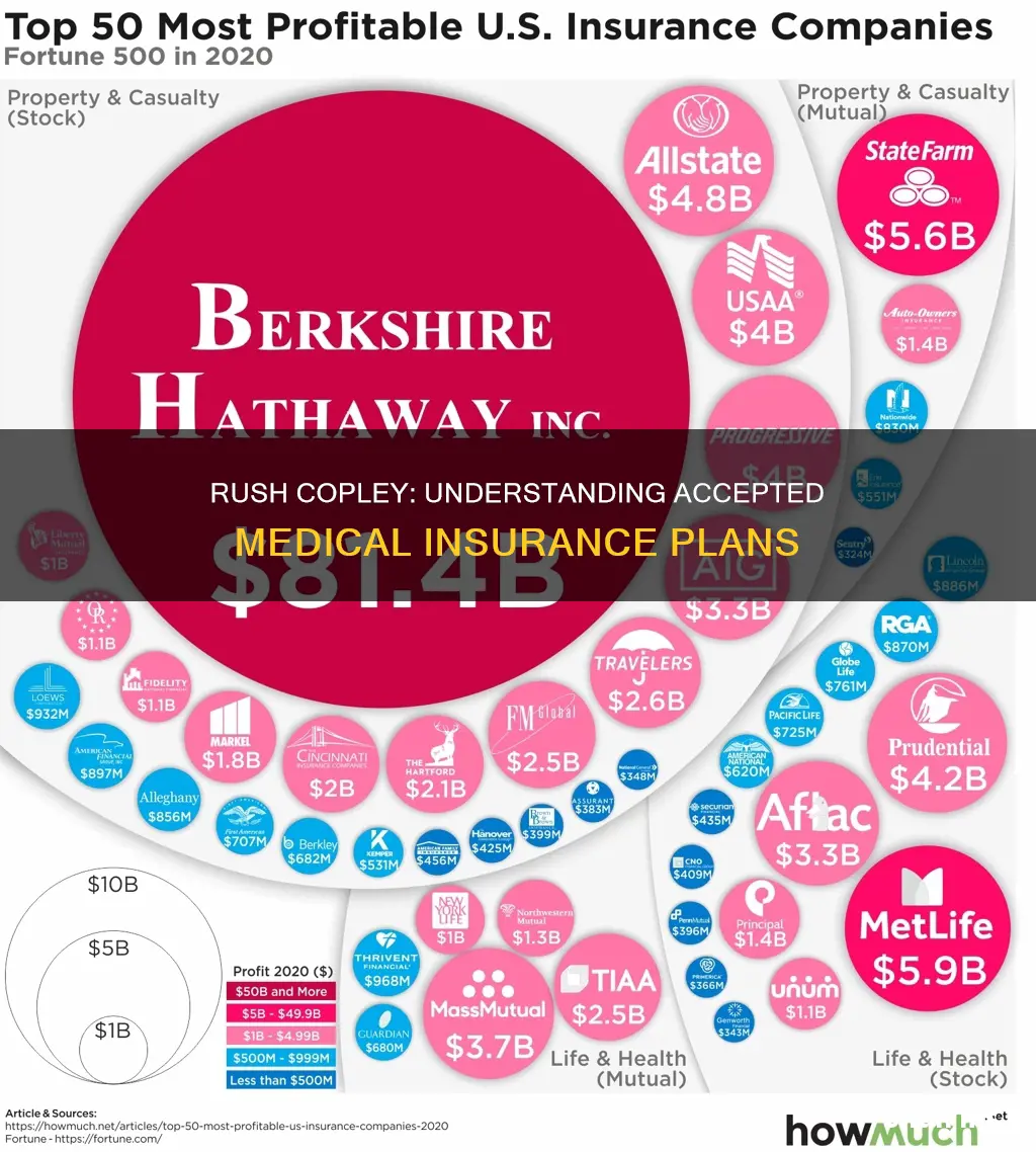 what medical insureance does rush copley asscept