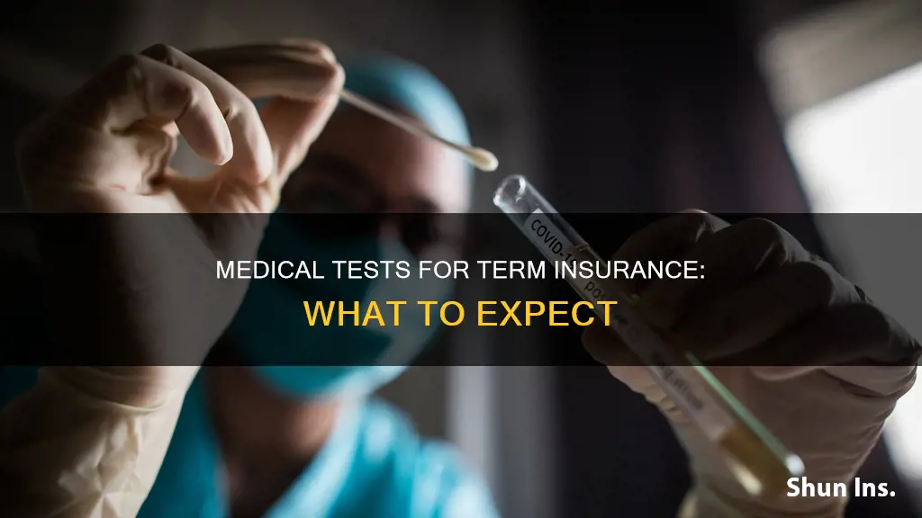 what medical test required for term insurance