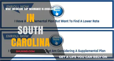 Medicare Gap Insurance: South Carolina Options Explored