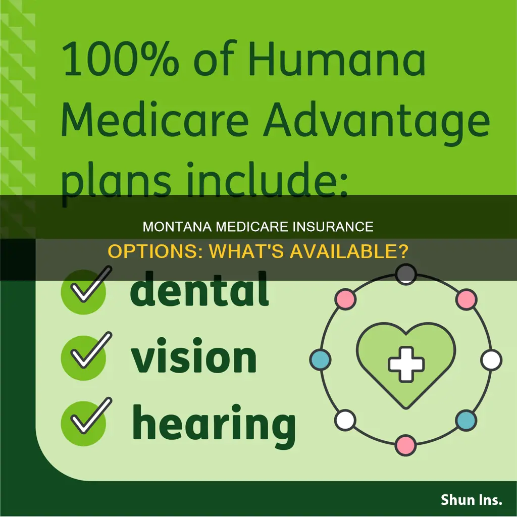 what medicare insurance is available in montana