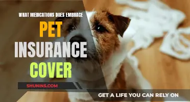 Pet Medication Coverage: Embrace Insurance Options Explained