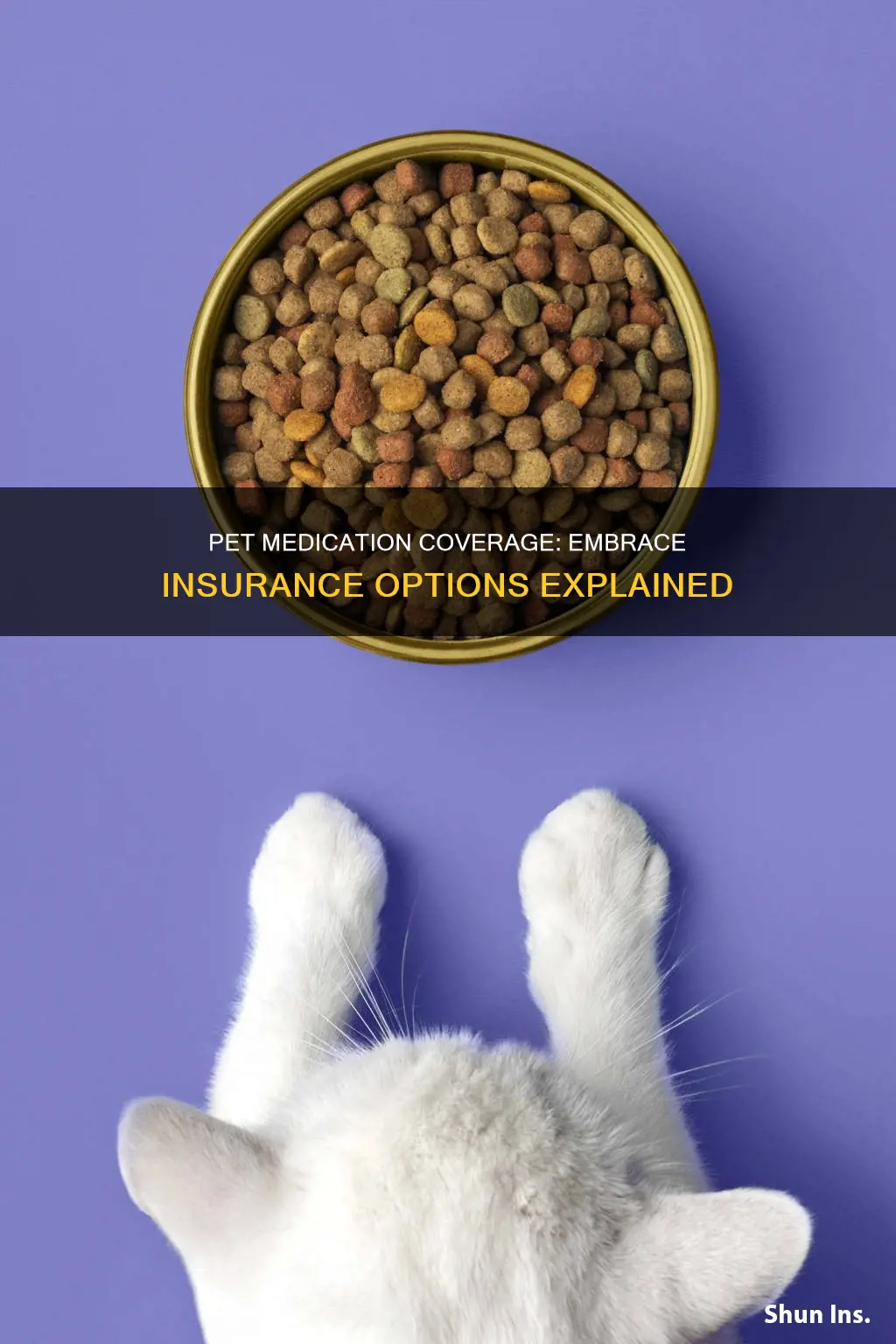 what medications does embrace pet insurance cover