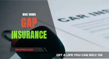 Minds at Ease: Gap Insurance Explained