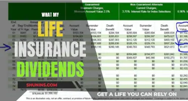 Maximizing Life Insurance Dividends: A Guide to Financial Growth