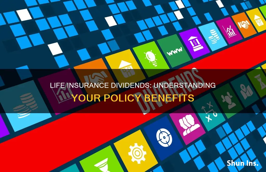 what my life insurance dividends