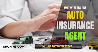 Details to Withhold from Your Auto Insurance Agent