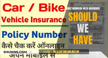 Essential Auto Insurance Numbers: What You Need to Know