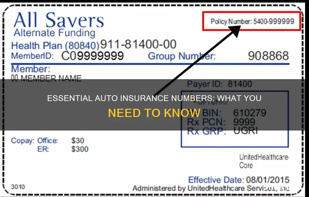 what numbers auto insurance should we have