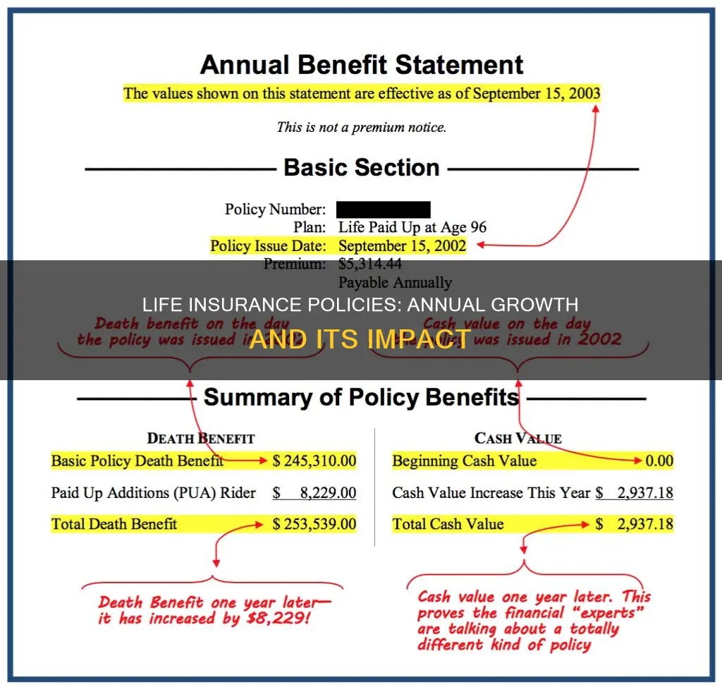 what of life insurance polices are issued each year