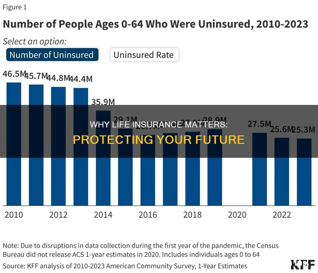 what of people do not have life insurance