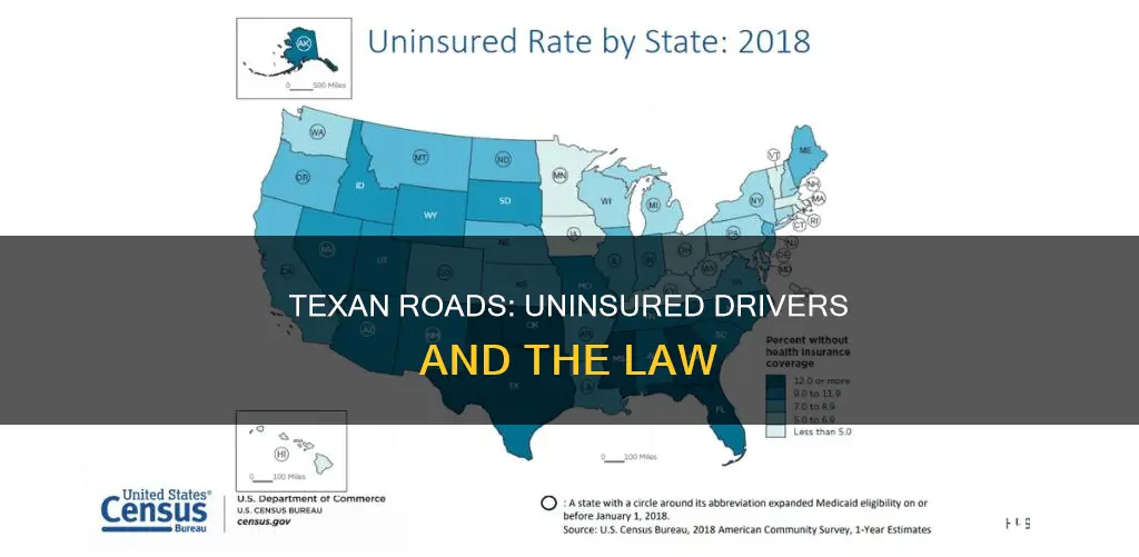 what of texan drivers are not auto insured