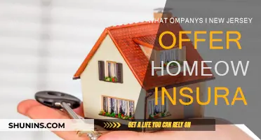 Homeowners Insurance: Which Companies in New Jersey?