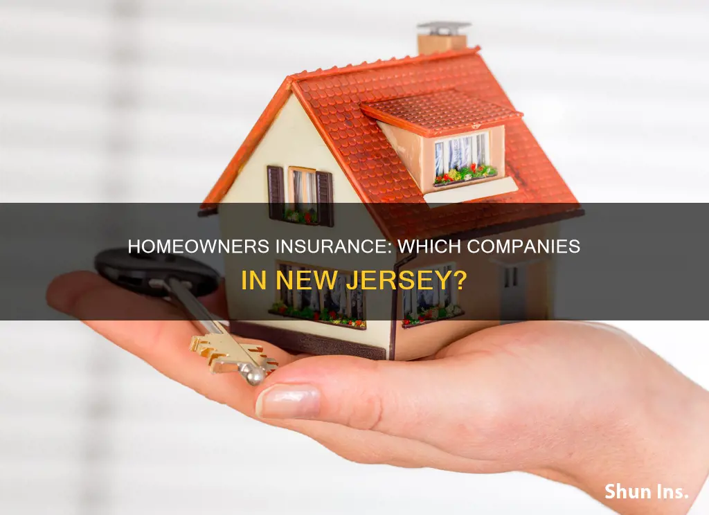 what ompanys I new jersey offer homeowners insurance