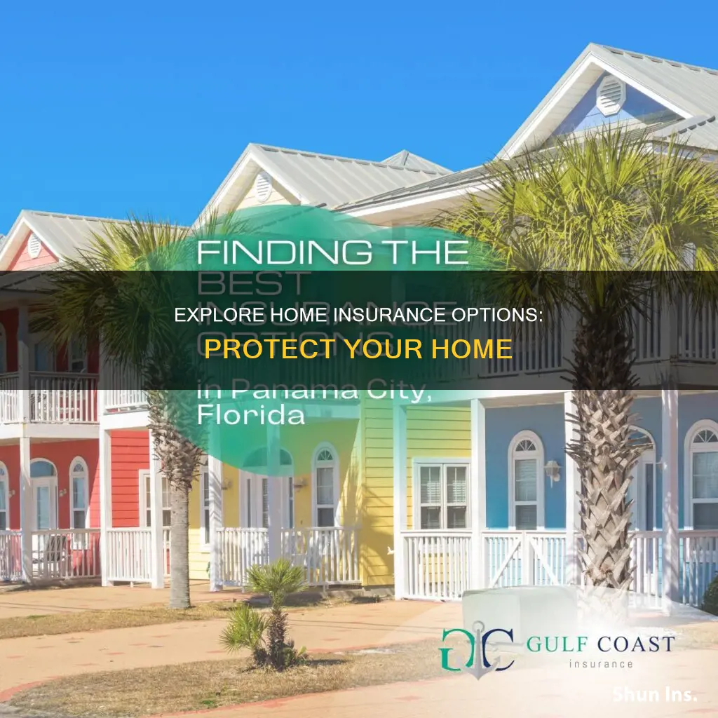 what options are there for homeowners insurance