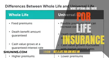 Exploring Life Insurance: A Comprehensive Guide to Your Options