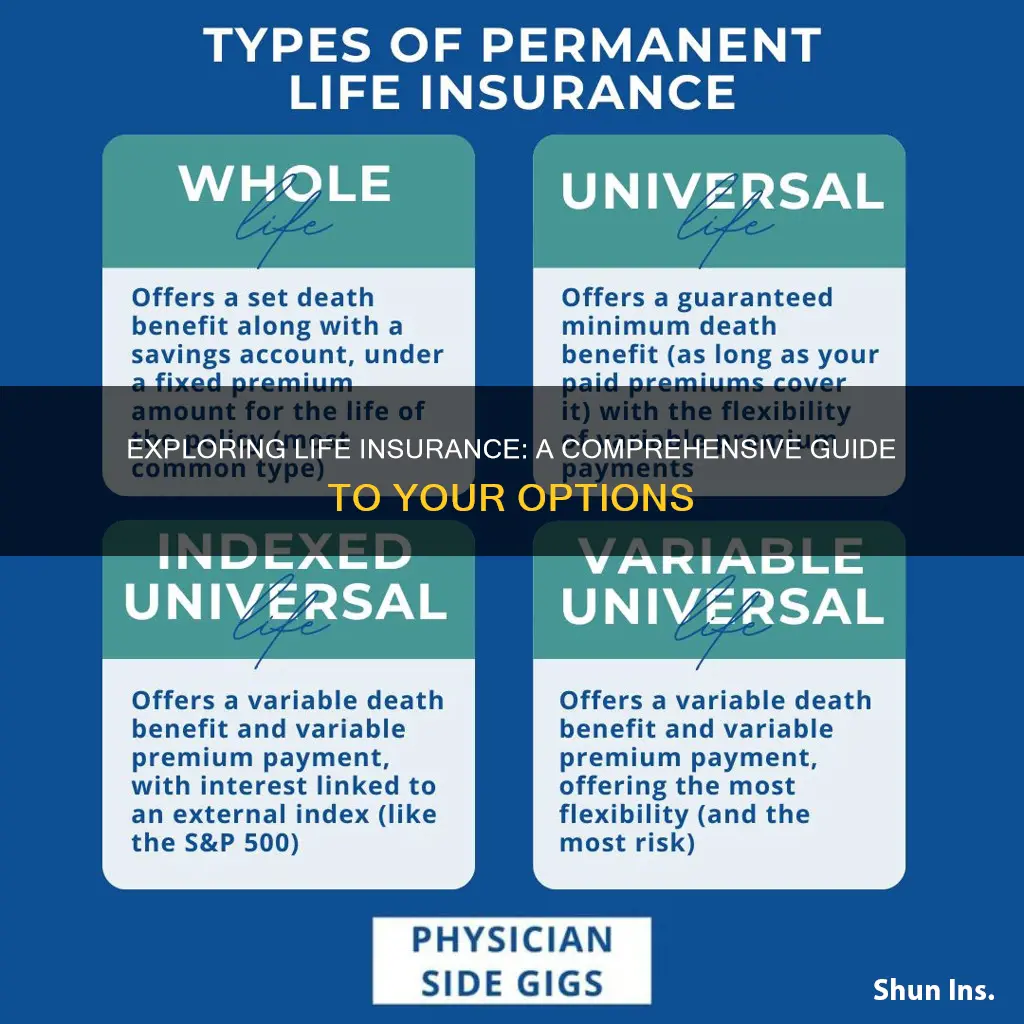 what options are there for life insurance