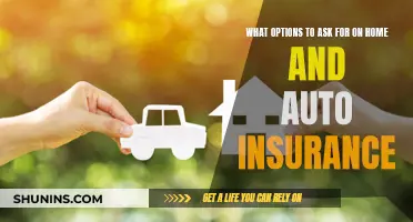 Insurance Options: Maximizing Home and Auto Coverage