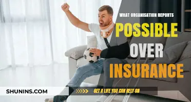 Who Oversees Insurance Companies and Possible Fraud?