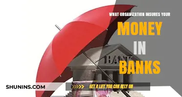 How FDIC Insurance Protects Your Money in Banks