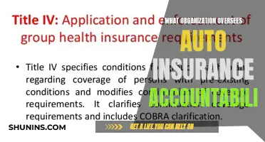 Who Monitors Auto Insurance Accountability?