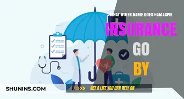 Hamaspik Insurance: What's in a Name?