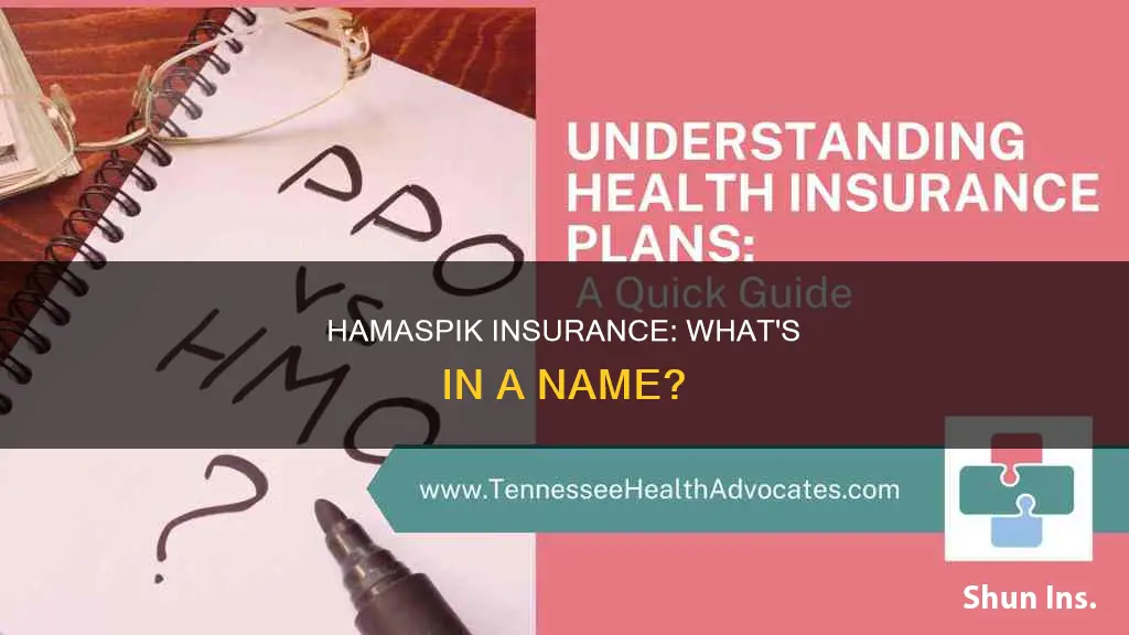 what other name does hamaspik insurance go by