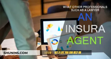 Legal and Insurance Insights: Collaborating Professions