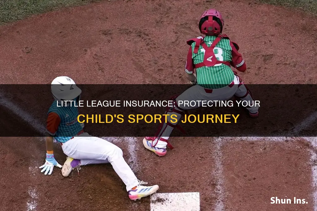 what parents should know about little league insurance