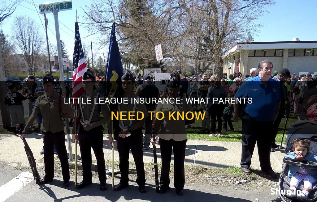 what parents should know about little league insurance