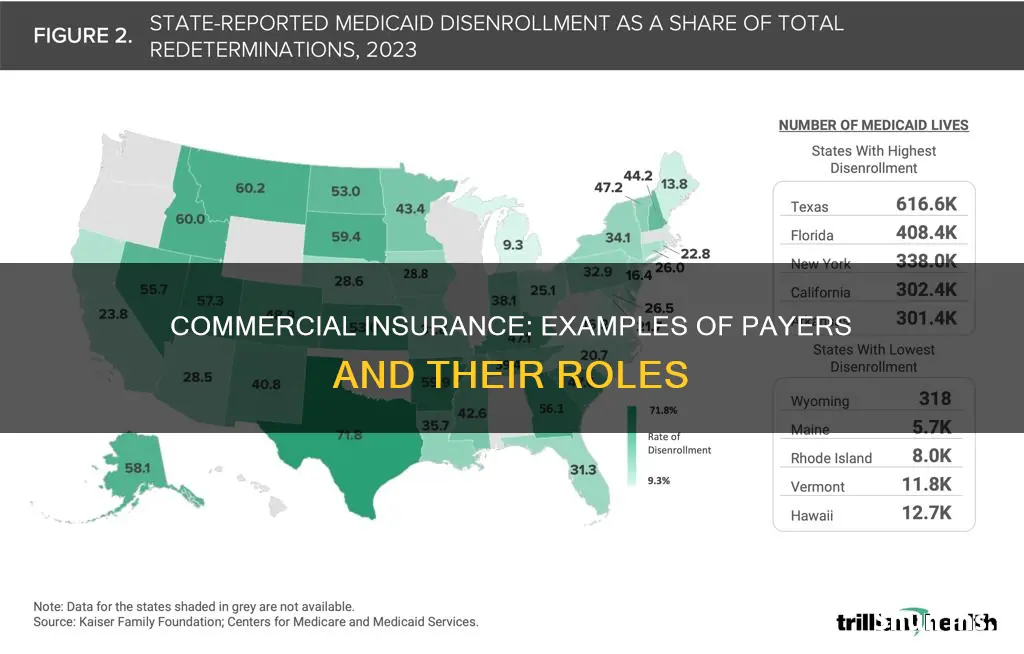 what payers are examples of commercial insurance
