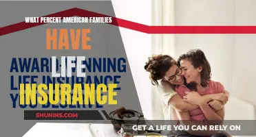 Life Insurance Coverage: The American Family's Financial Safety Net